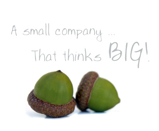 A Small Company That Thinks Big